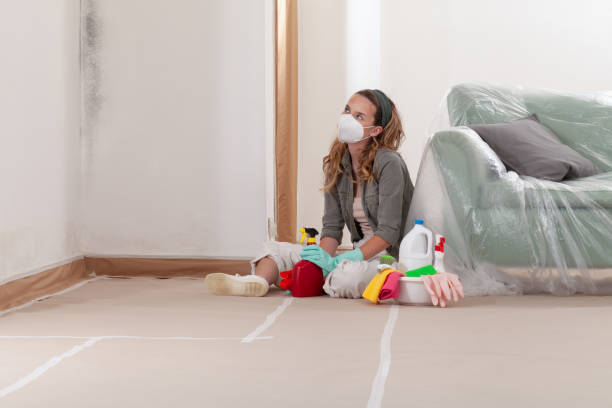 Reliable Mold Cleanup contractor in Glenmoore, PA by WQB Mold Removal