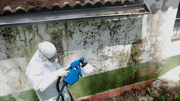 Top rated local Mold Cleanup specialists in Glenmoore, PA